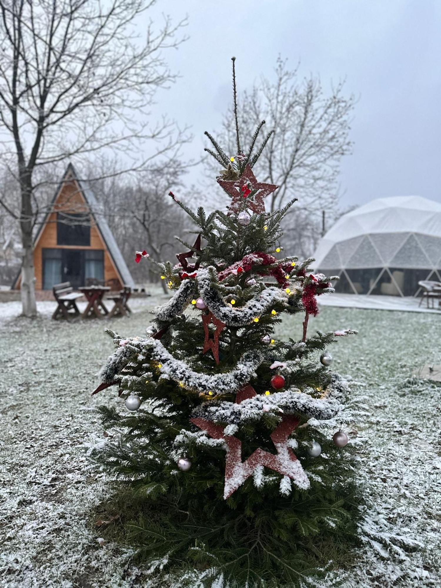 The Frog Glamping Hotel โฮเรซู ภายนอก รูปภาพ